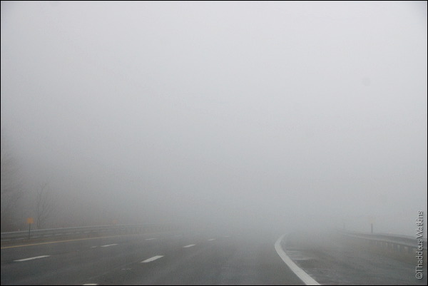 tw_100117_1095.jpg